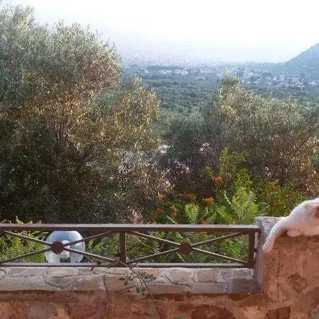 Casa vacanze Susinna