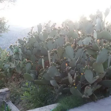 Susinna Casa vacanze Capaci